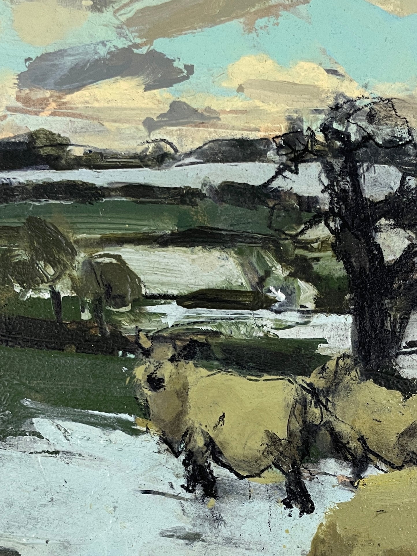 Sheep in snow, Somerset, January III