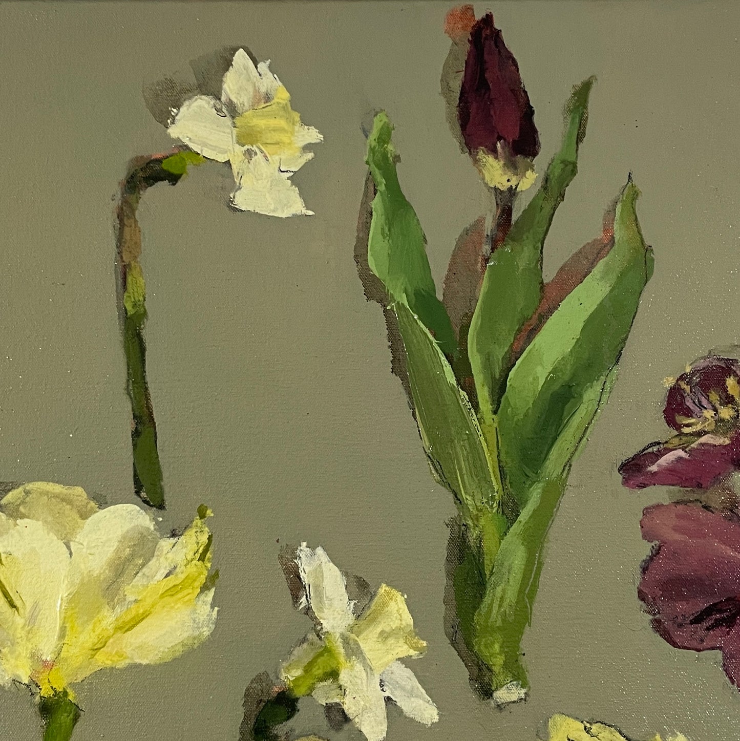 Flowers from the garden, early April