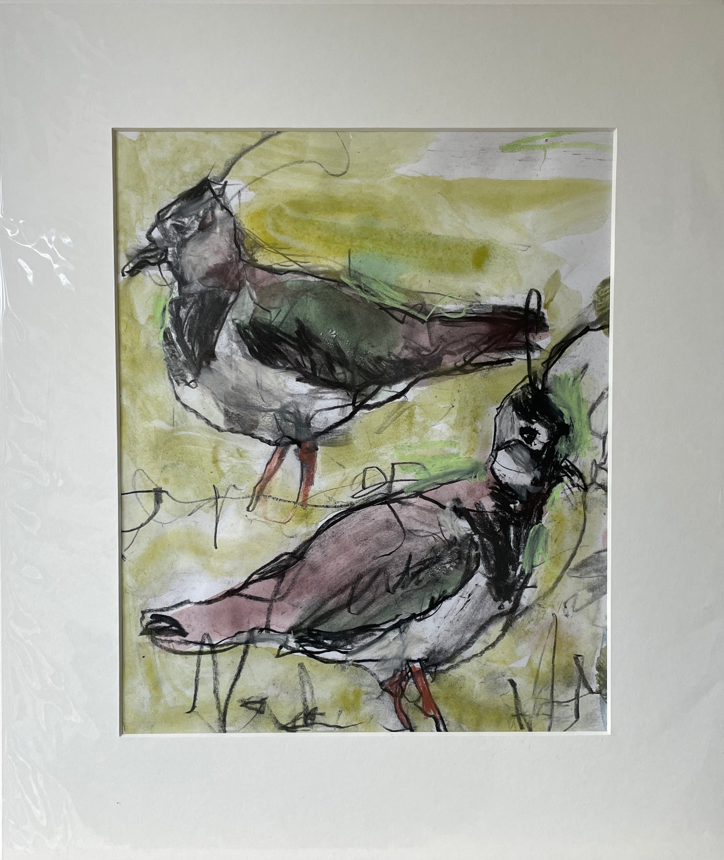 Lapwings