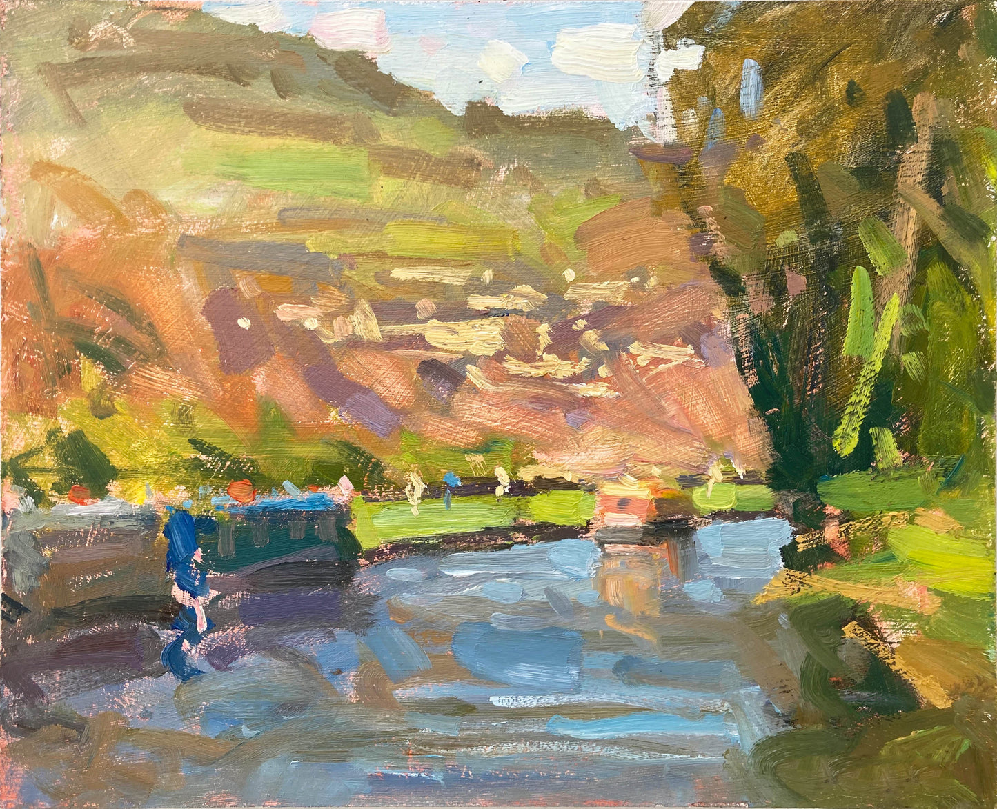 First spring colours by the canal, Bath