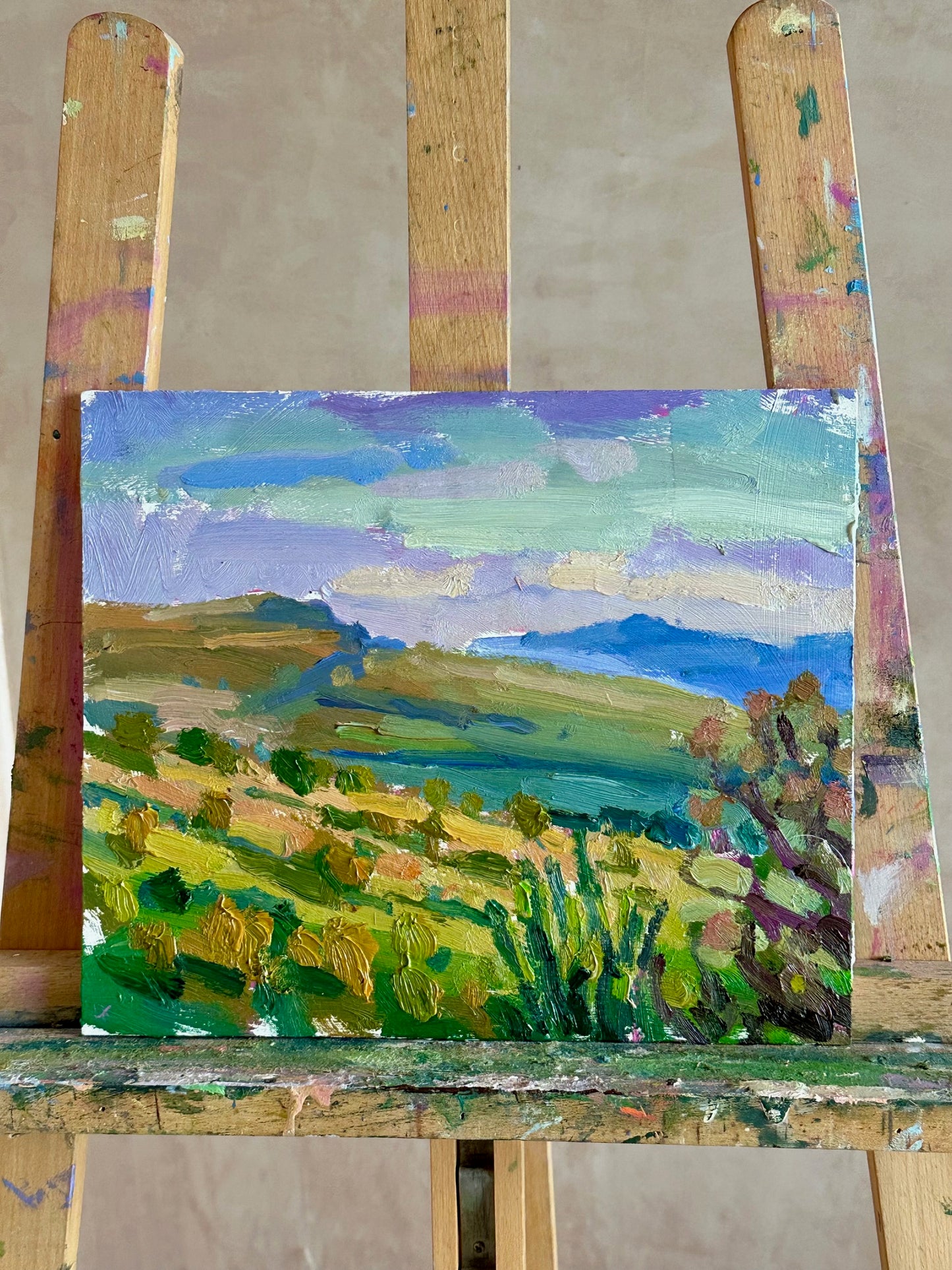 Golden hour across the plains, Kenya