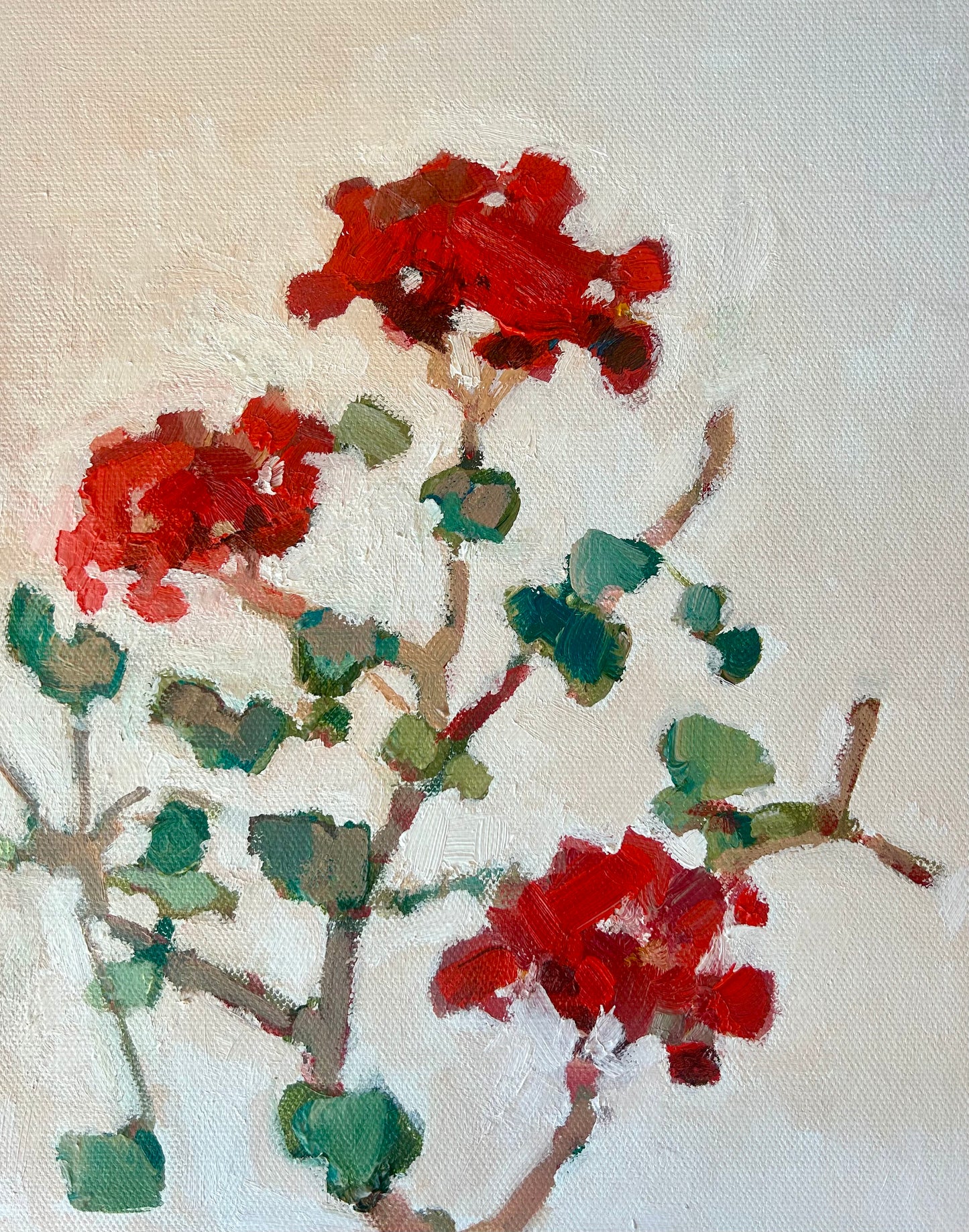 Geraniums II