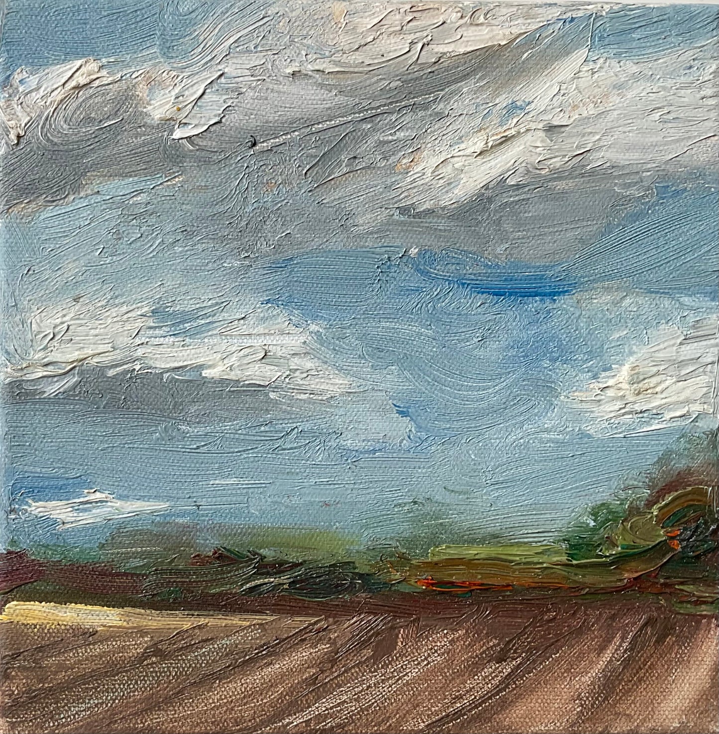 Ploughed Field