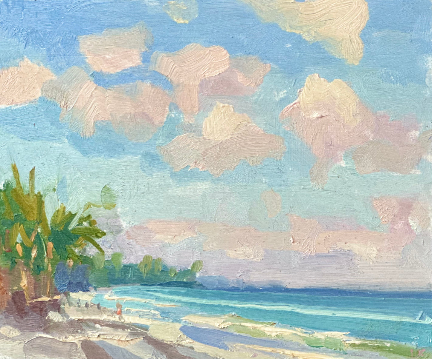 Evening sky on the beach, study