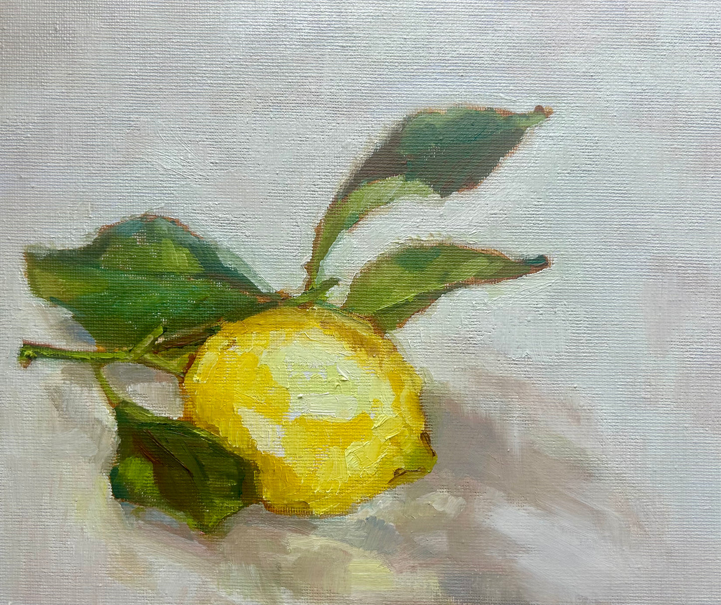 Sicilian Lemon Study
