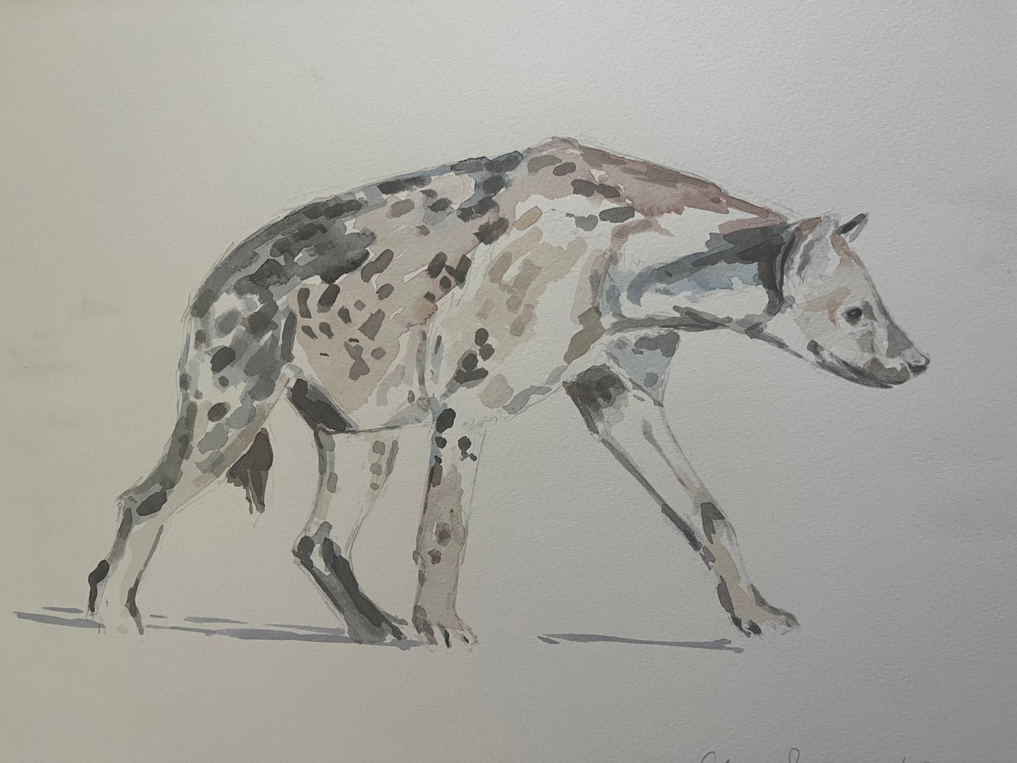 Hyena
