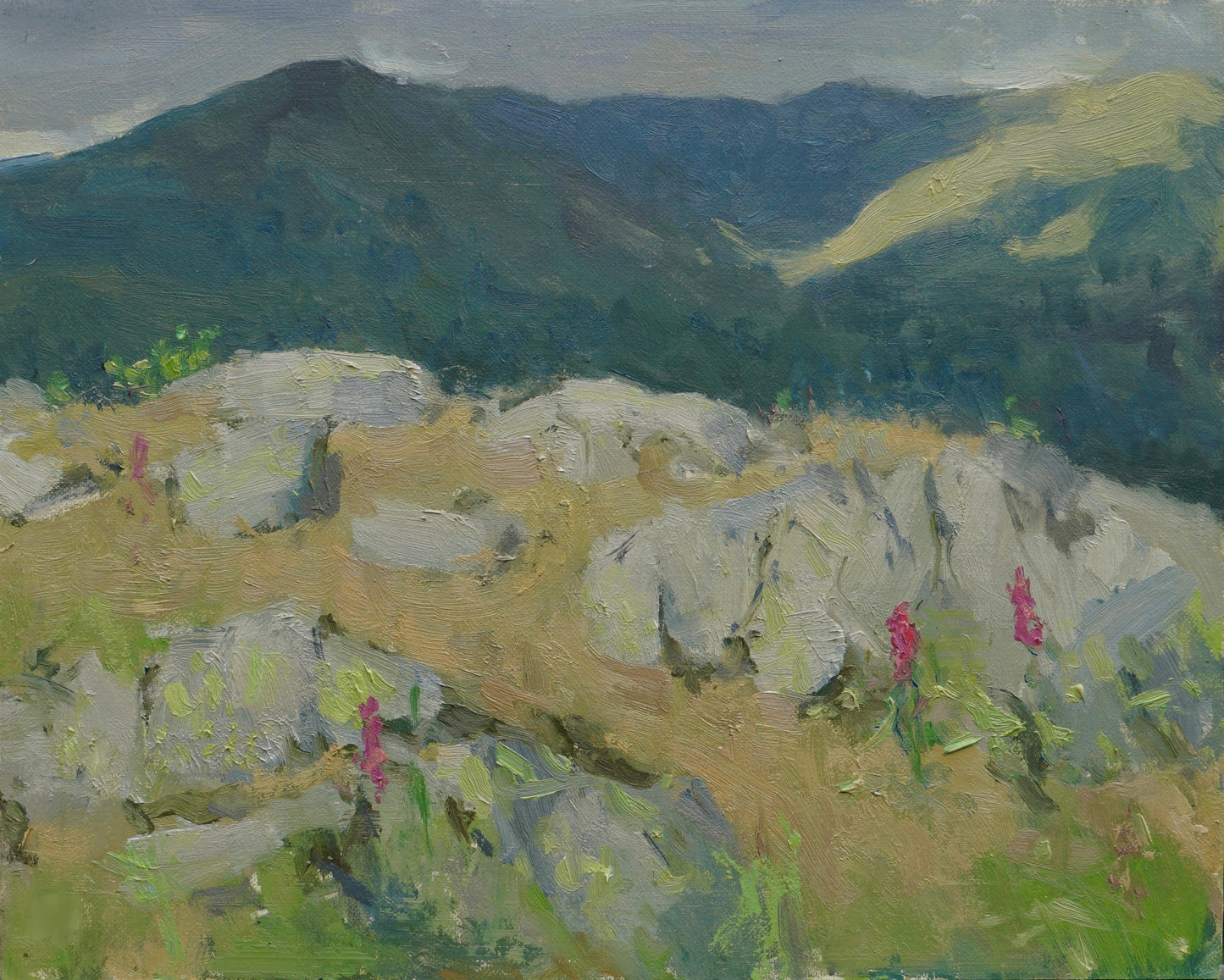 Before the Rain, Todd Crag