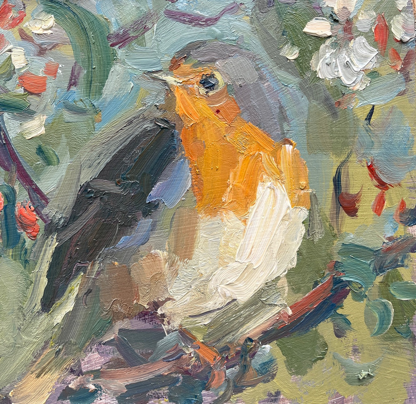 Robin