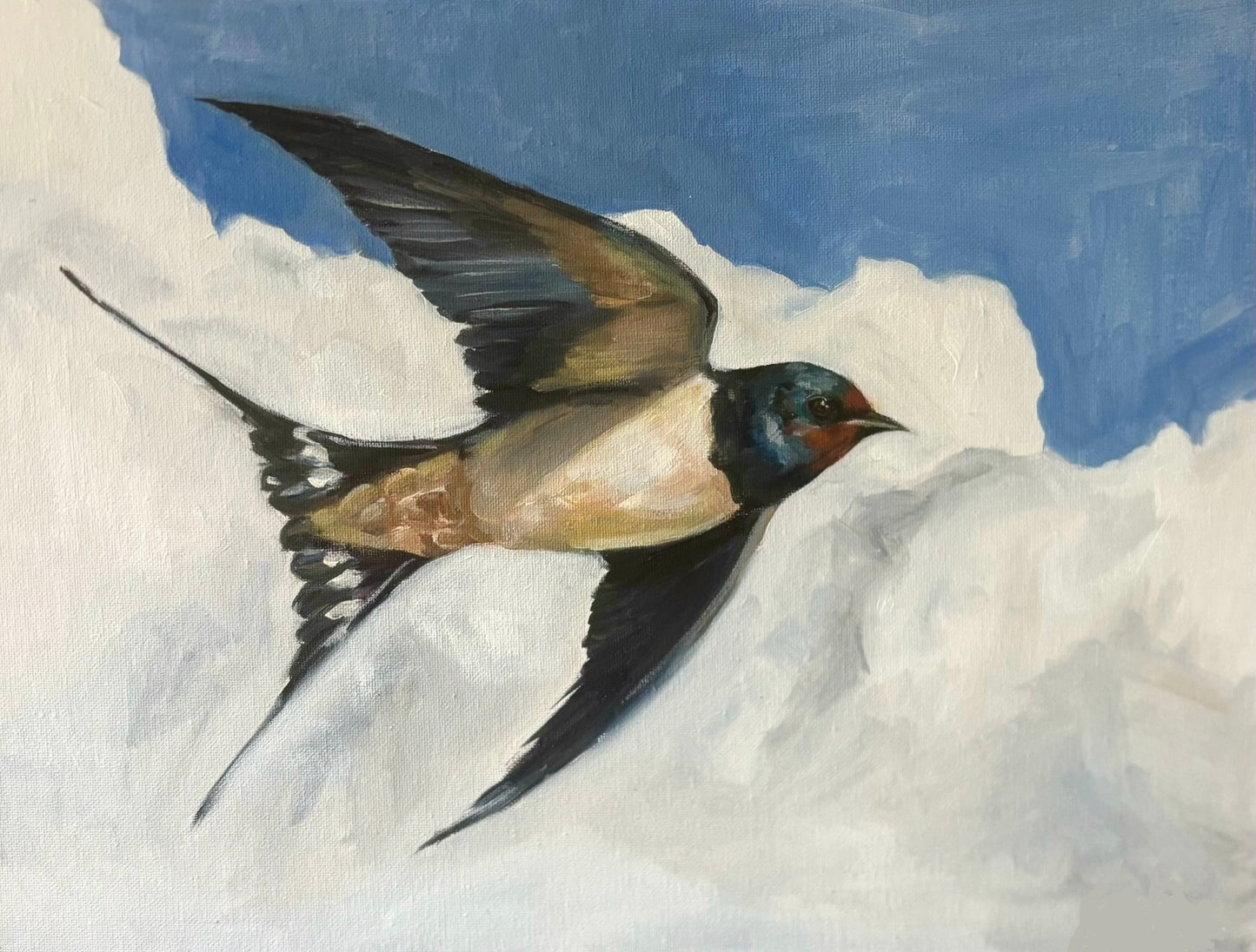 Swallows and clouds