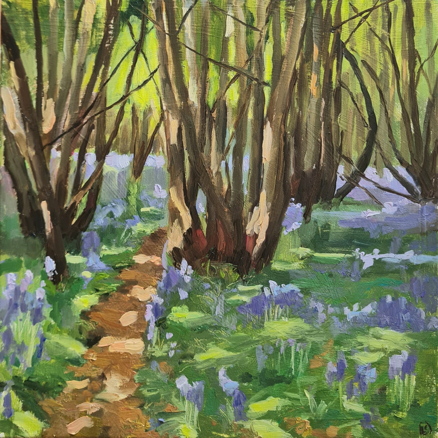 The Last Bluebells