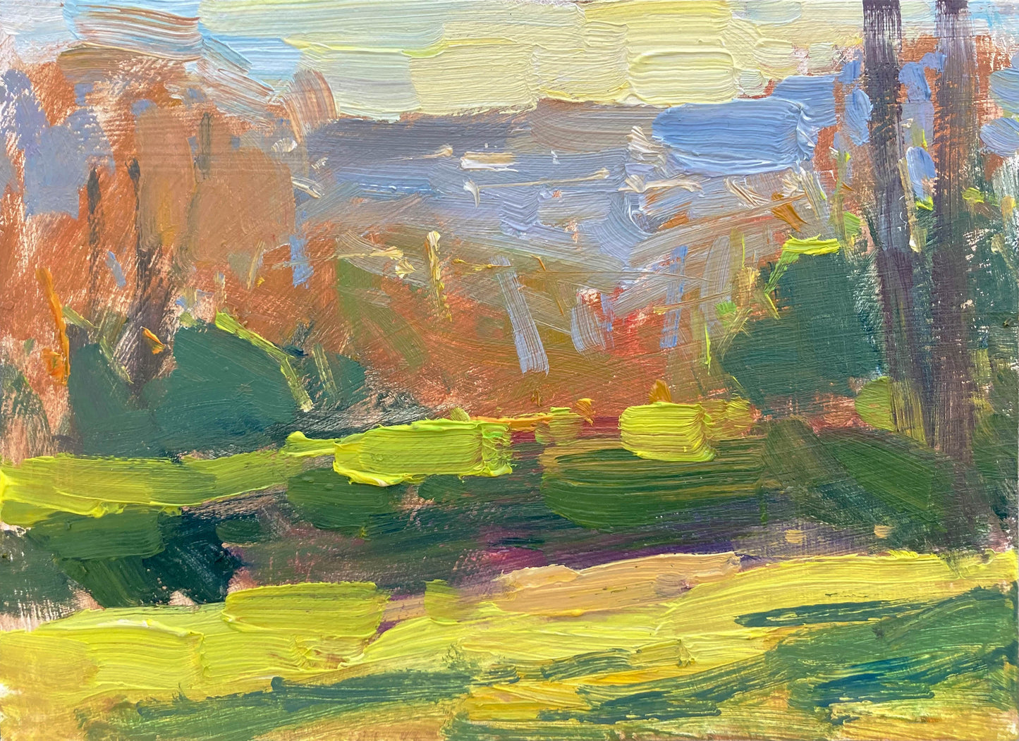 Morning Light