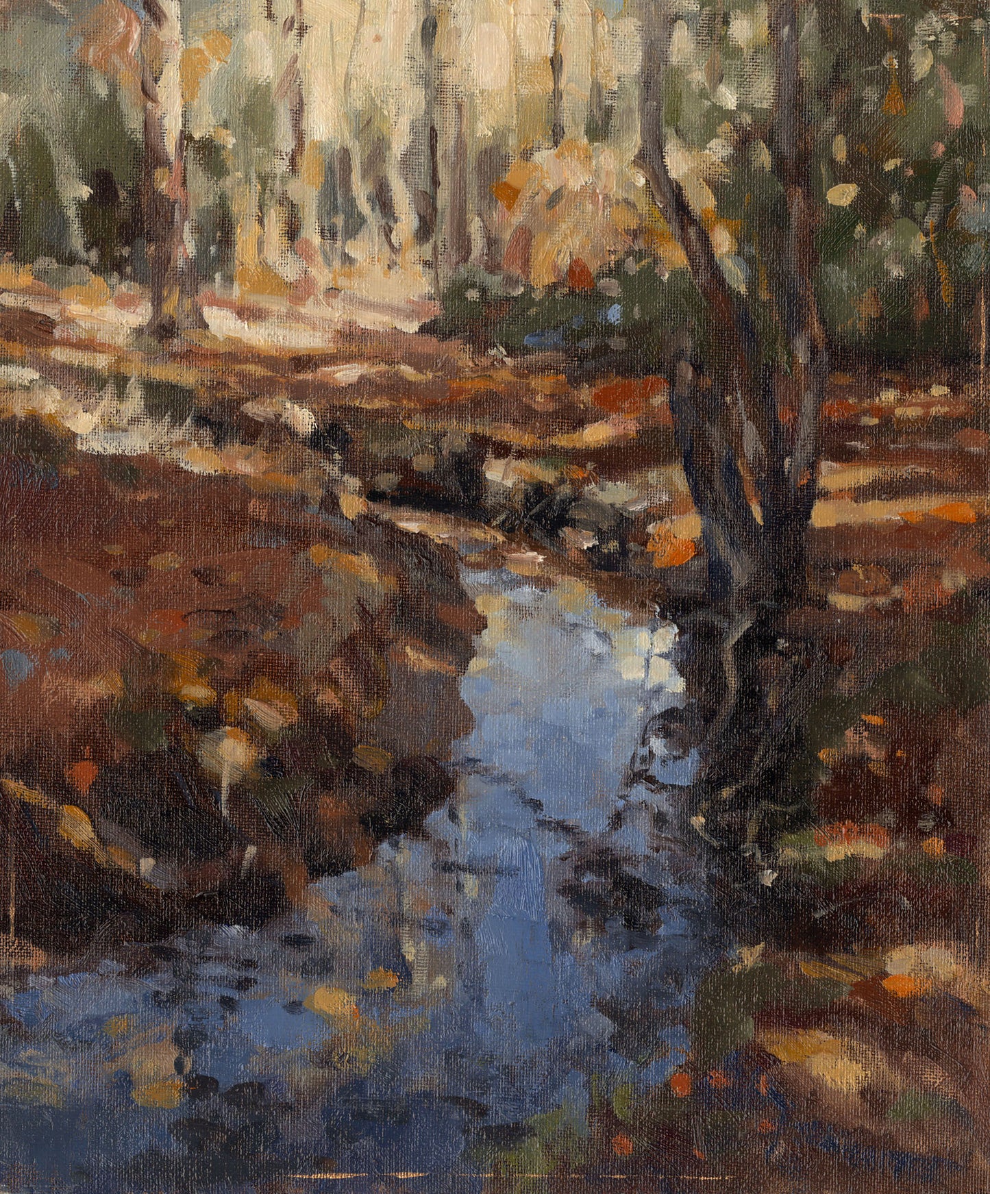 Woodland stream