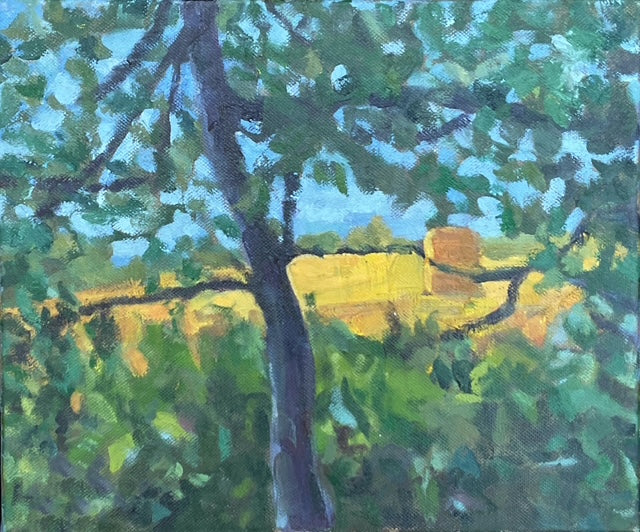 Suffolk Field