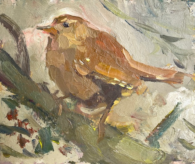 Young Wren