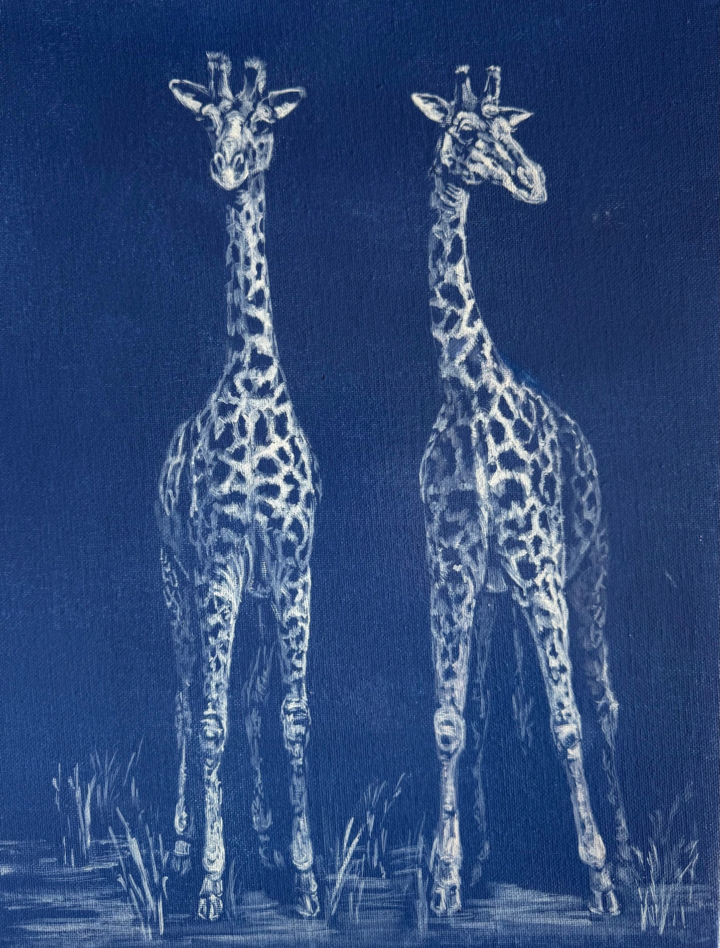 Giraffe Pair