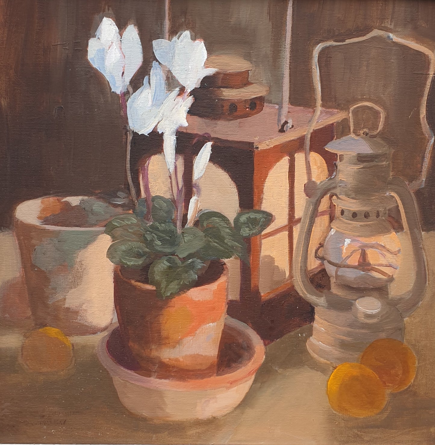 Lamps with a White Cyclamen