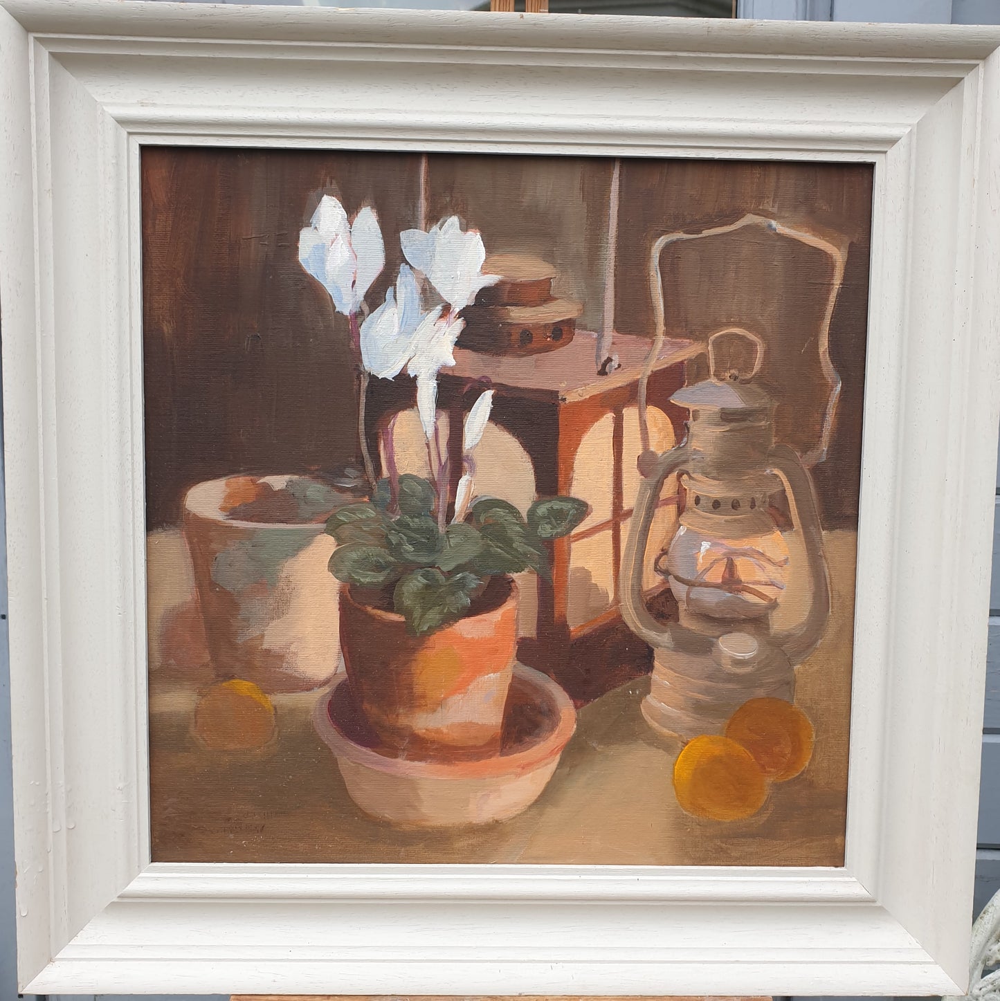 Lamps with a White Cyclamen