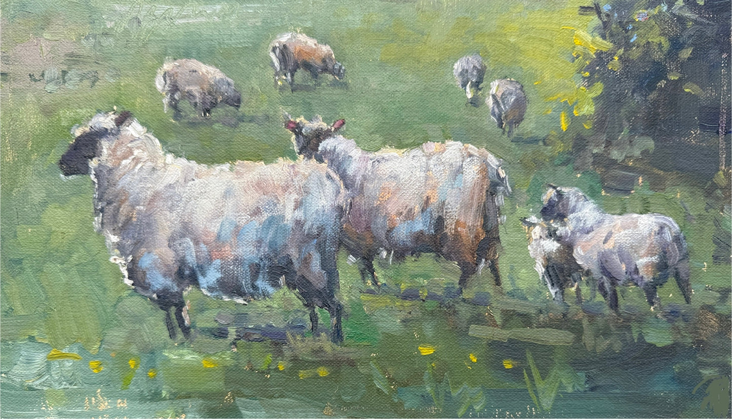 Grazers
