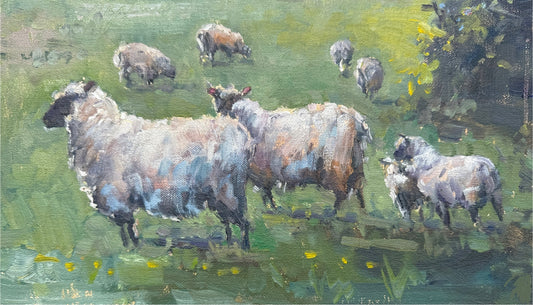 Grazers