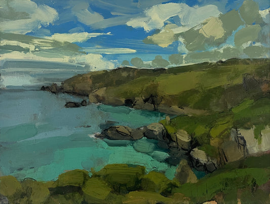 From the coastal path - Gurnard’s Head to Zennor, June