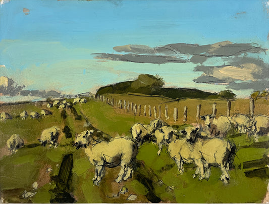Sheep, South Downs, October V