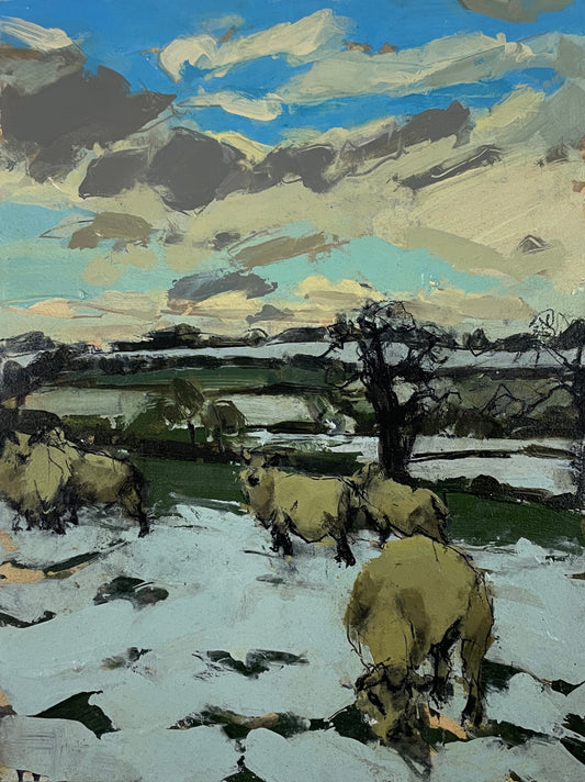 Sheep in snow, Somerset, January III