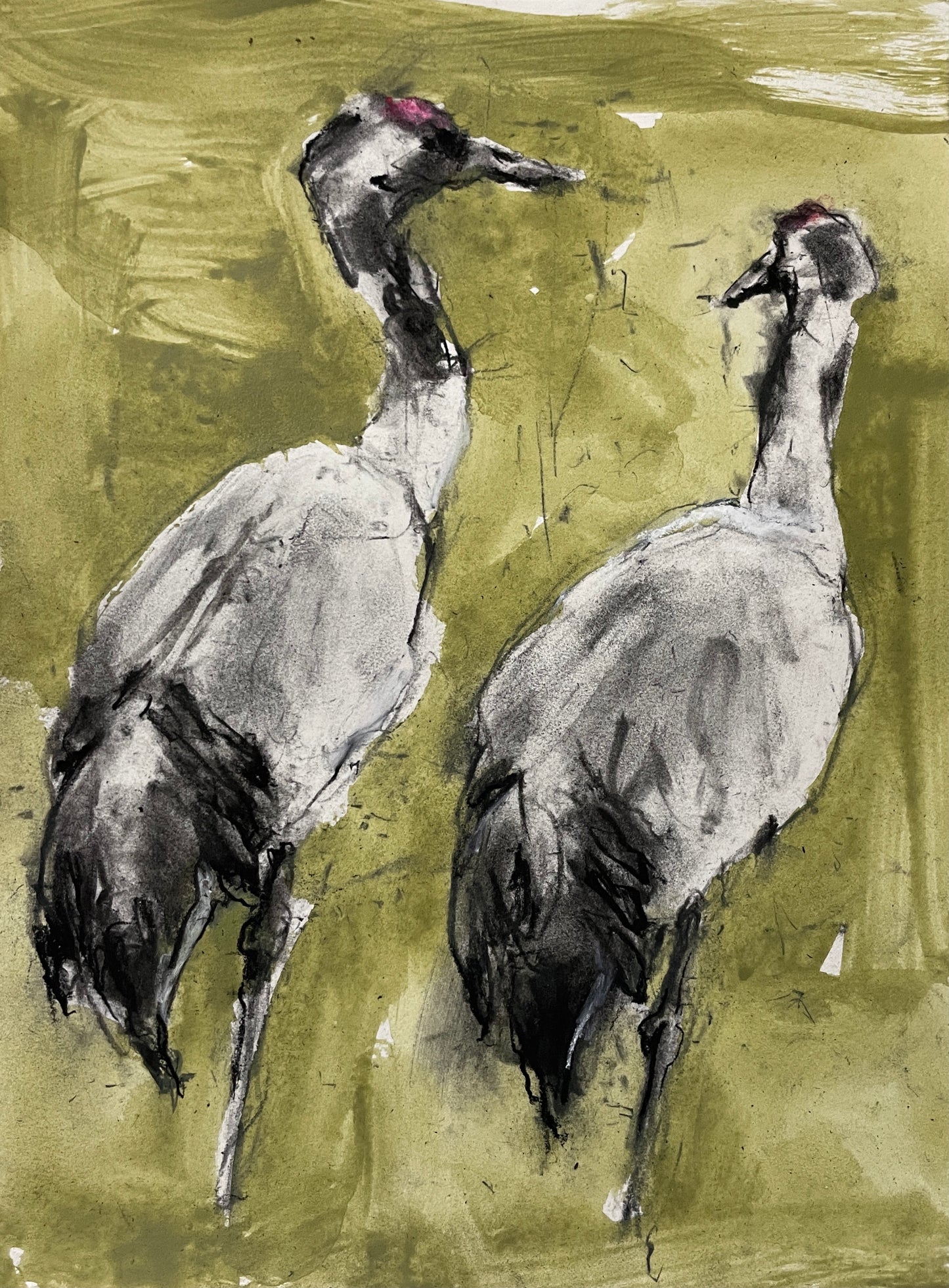 Cranes