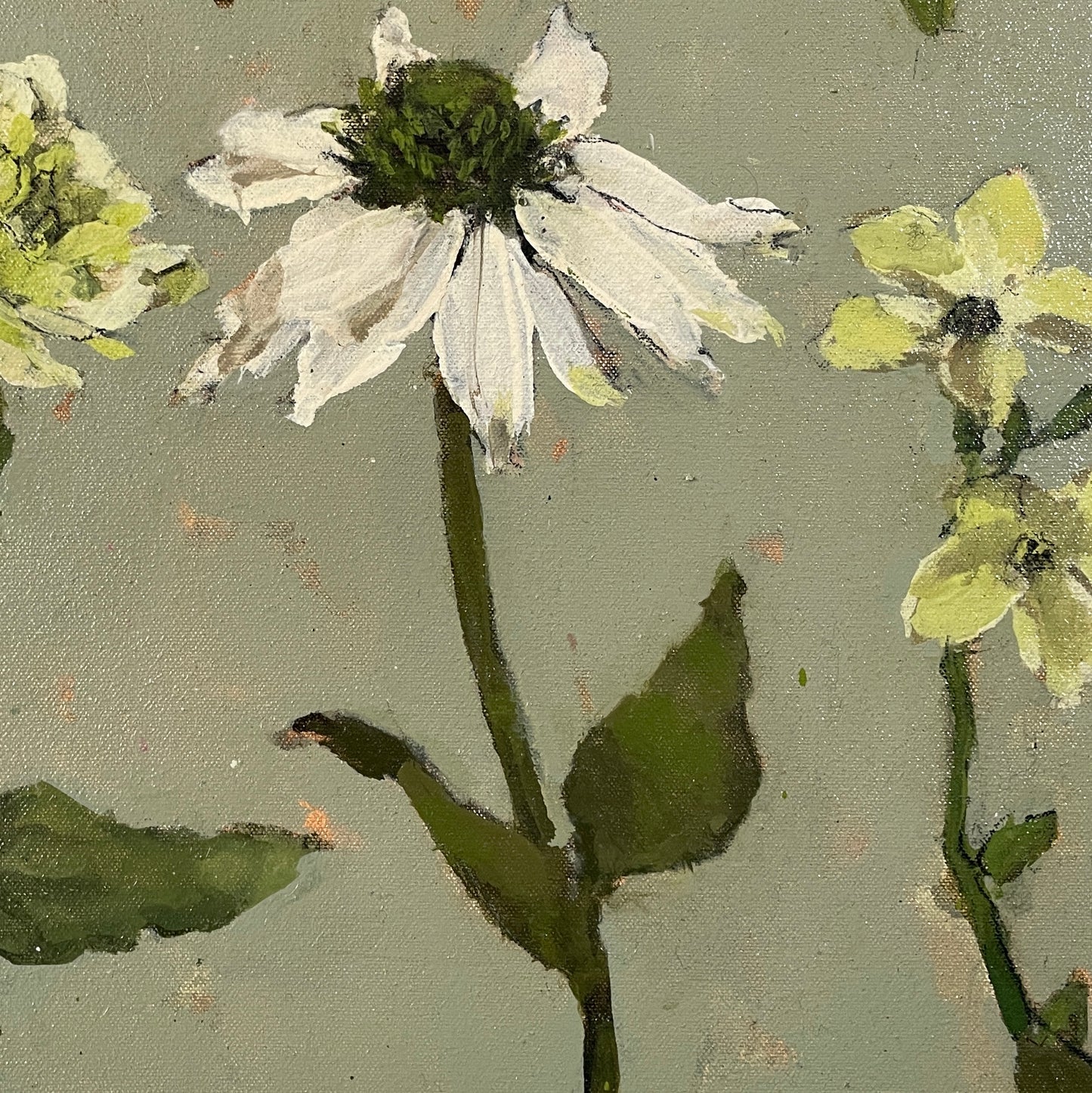 Flowers from the garden, July III