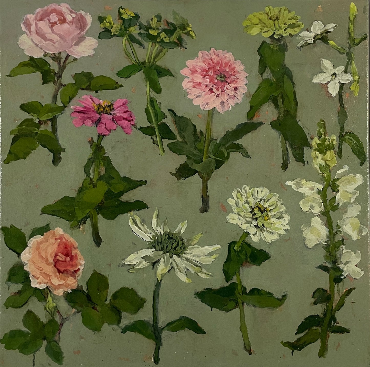 Flowers from the garden, July IV