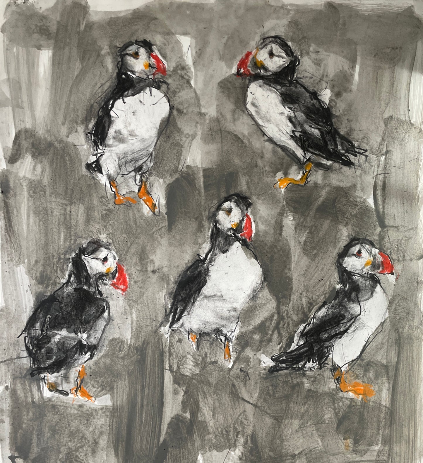 Puffins