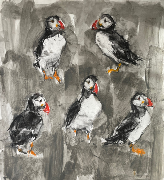 Puffins