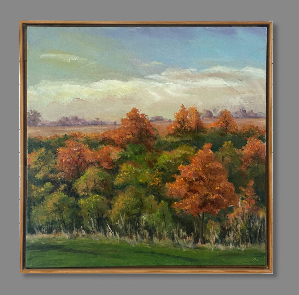Autumn Trees