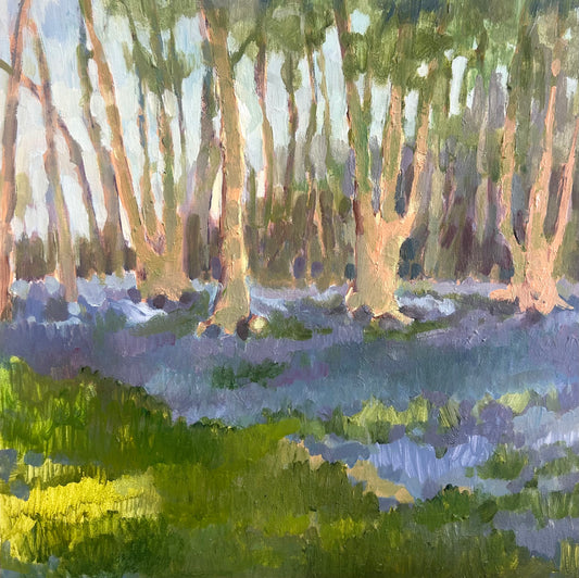 Bluebell Woods