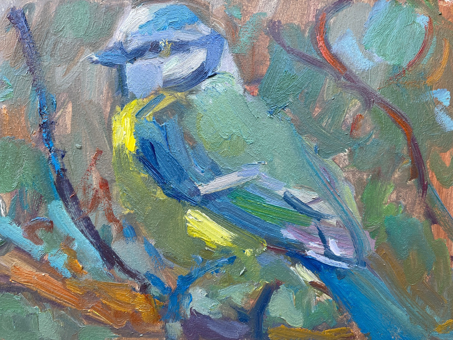 Blue Tit