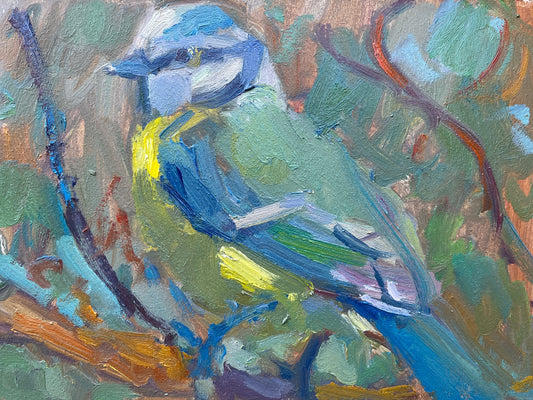 Blue Tit