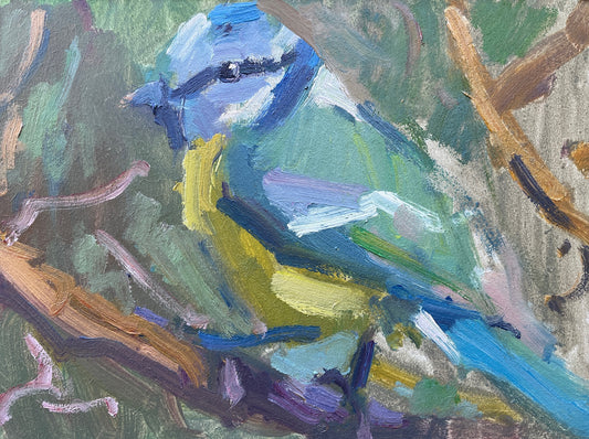 Blue Tit Resting