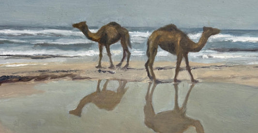 Camels