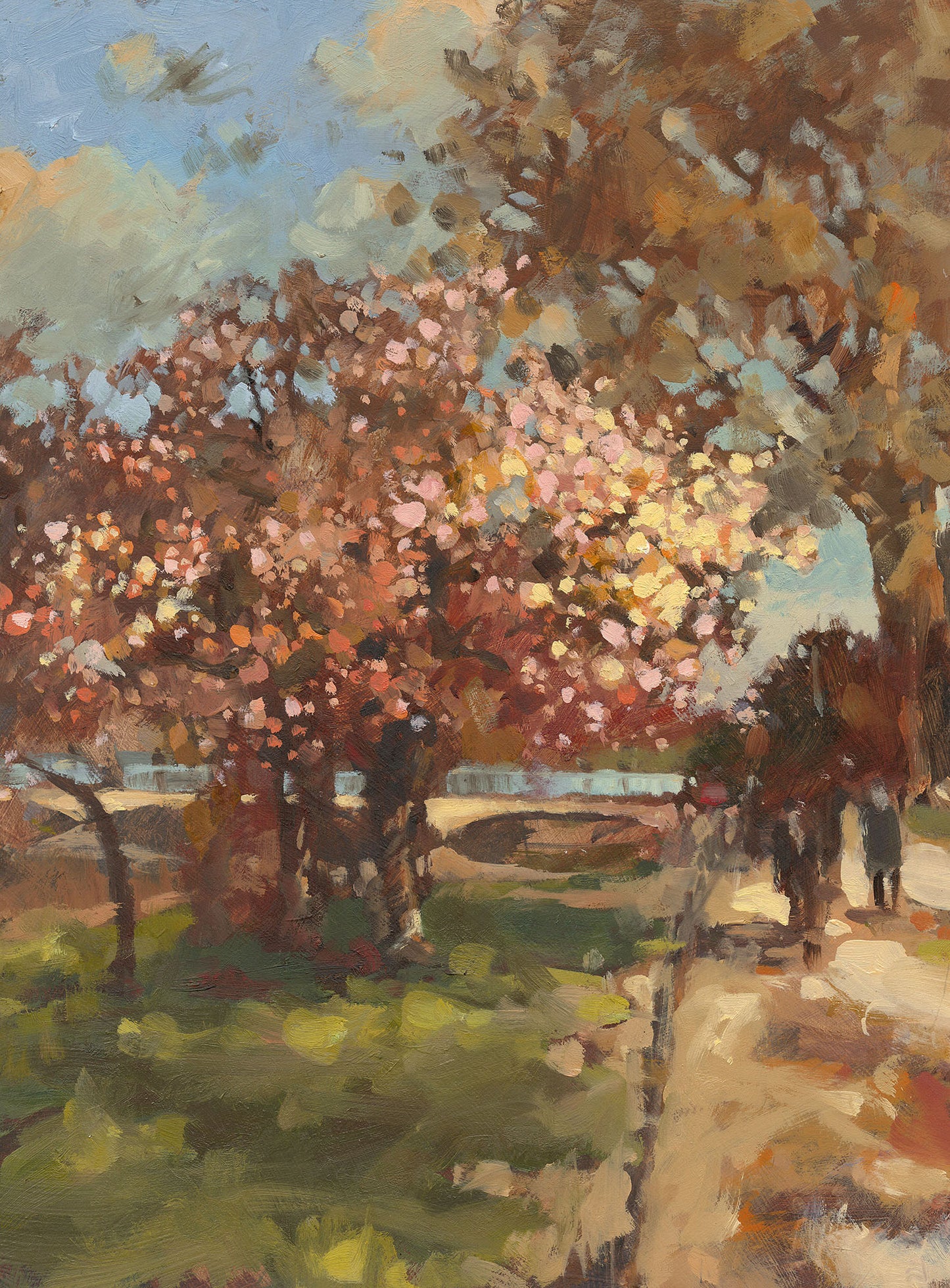 Cherry blossom, St James’s Park