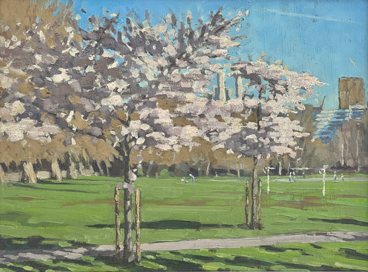 Cherry Blossom Avenue, Battersea Park