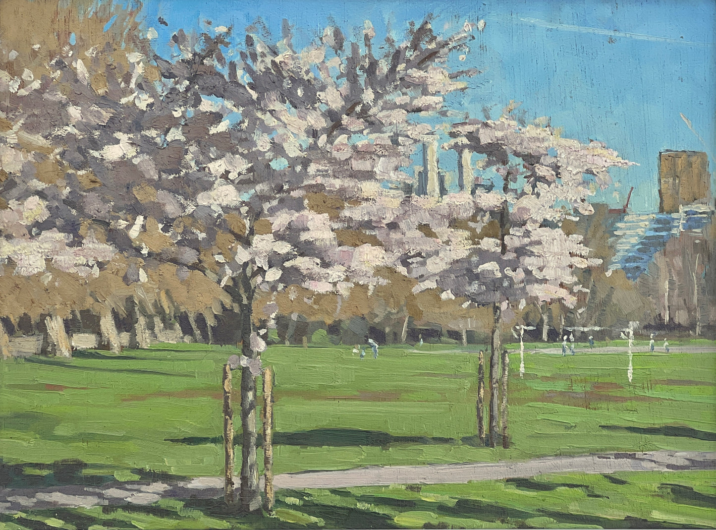 Cherry Blossom Avenue, Battersea Park