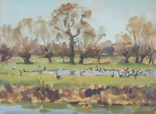 Geese Gathering, Passenham