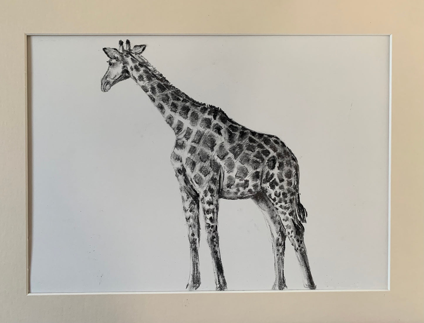 Giraffe Sketch