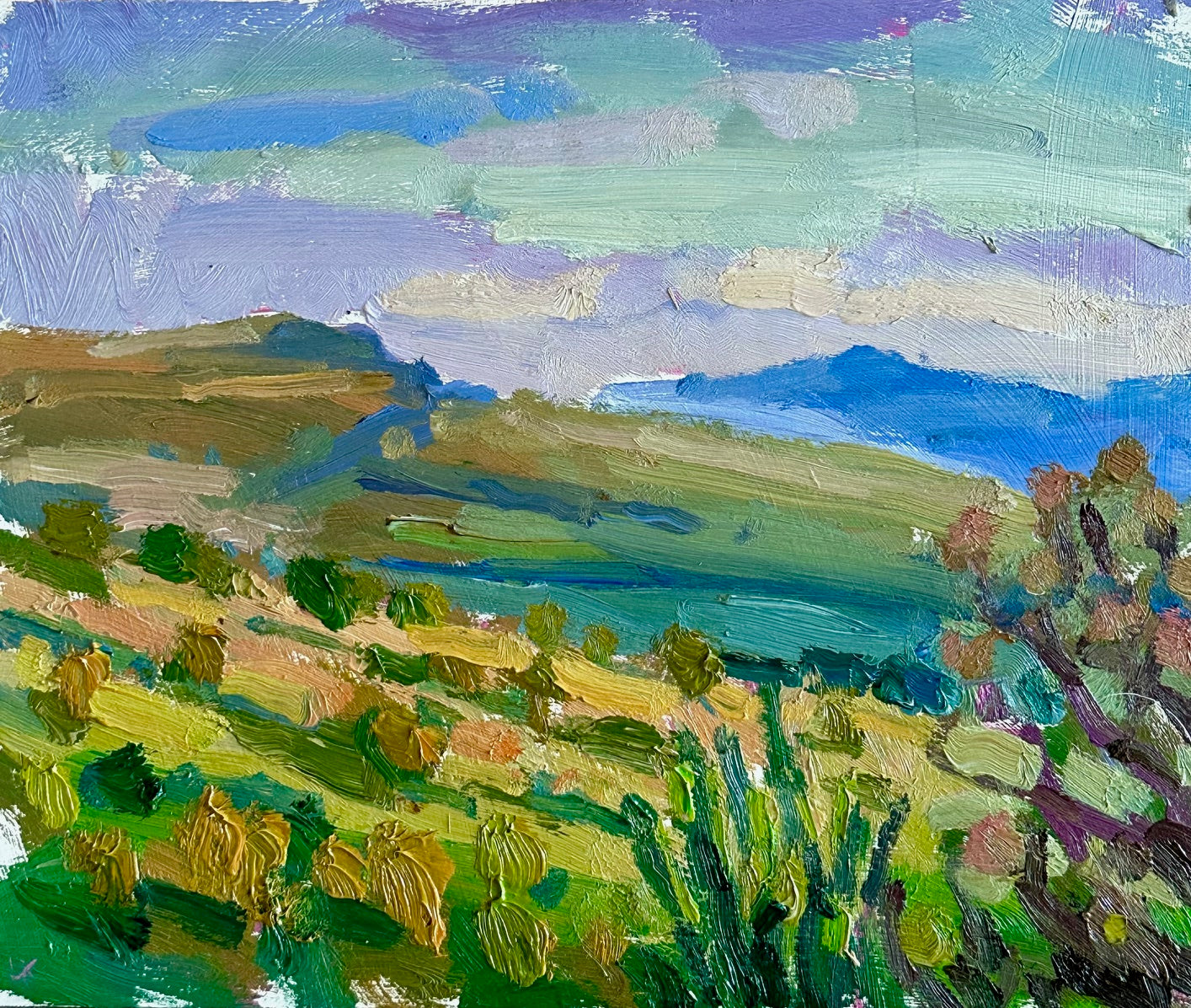 Golden hour across the plains, Kenya