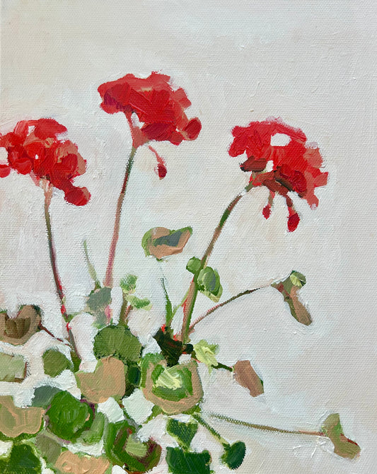 Geraniums I