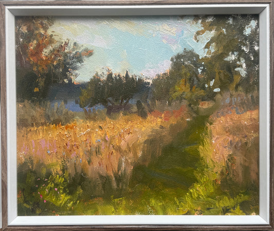 Fields of Gold