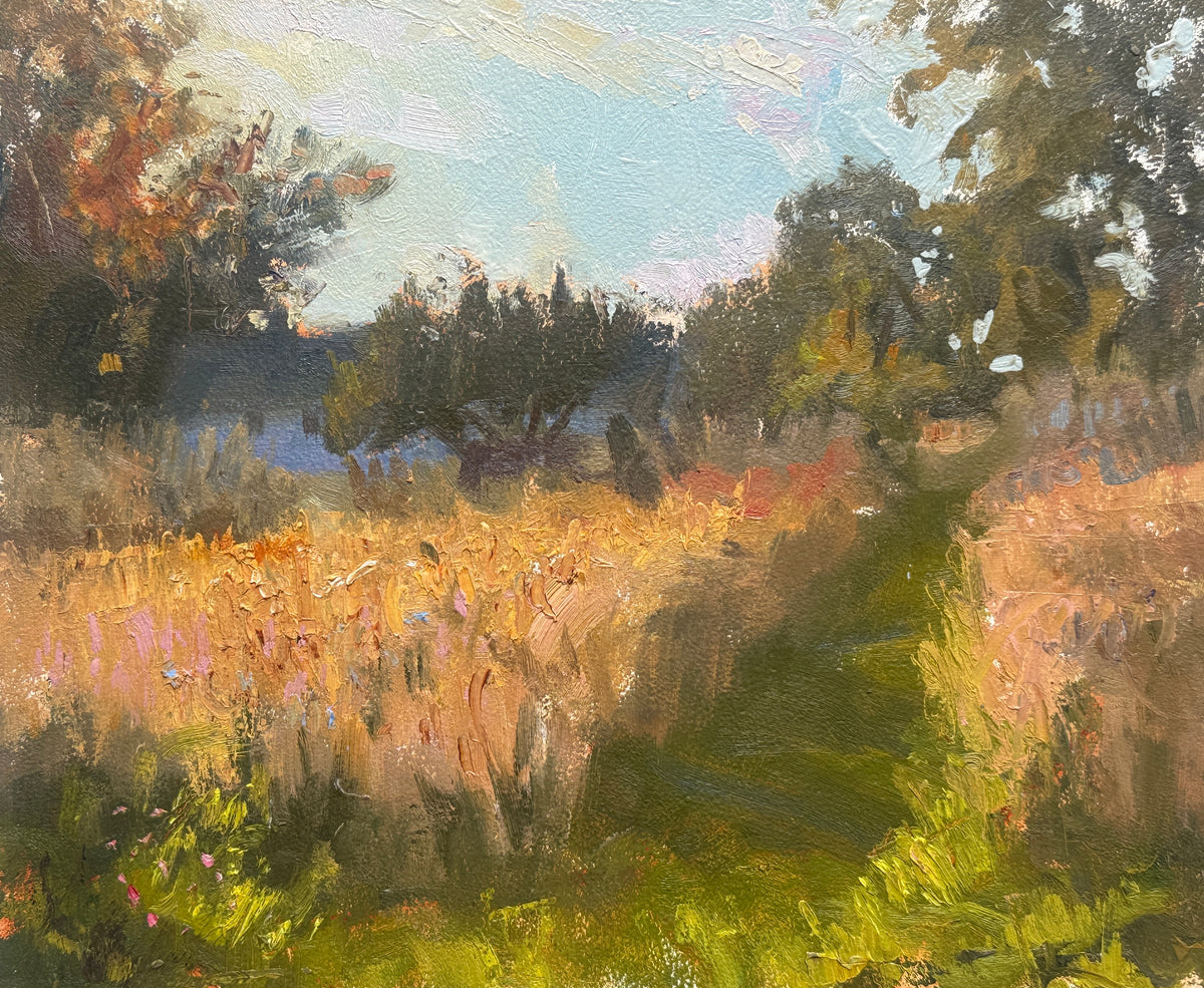 Fields of Gold