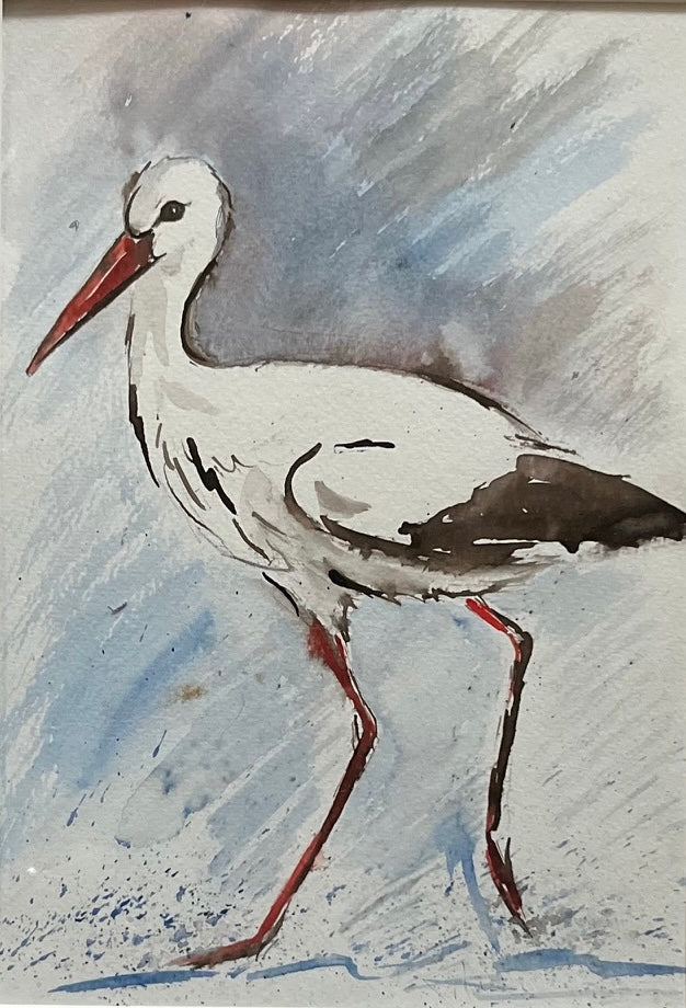 White stork