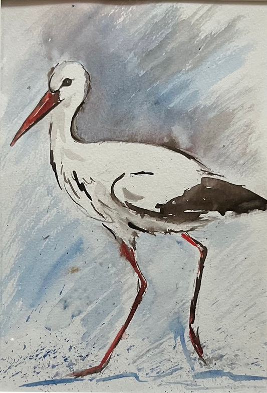 White stork