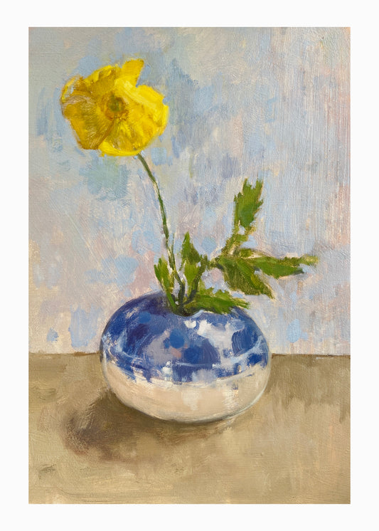 Welsh Poppy in Blue Vase
