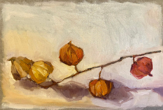 Chinese lanterns study